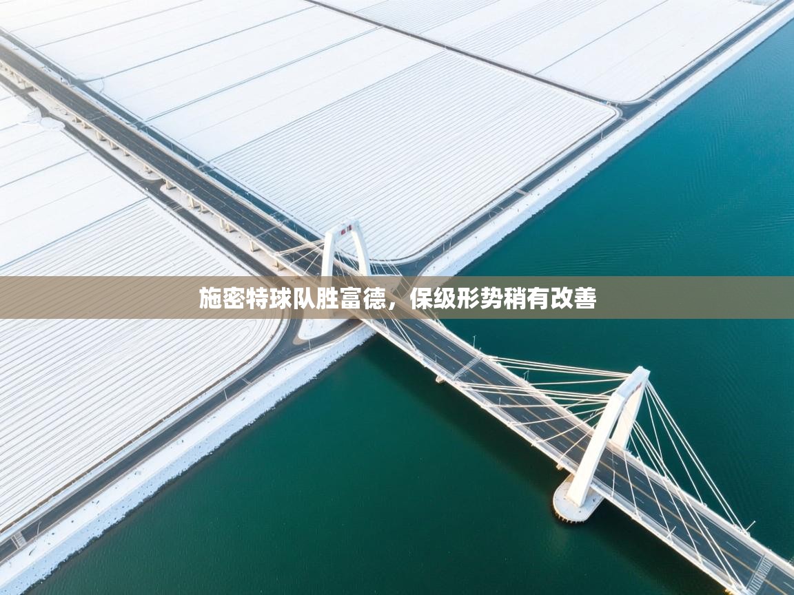 施密特球队胜富德，保级形势稍有改善  第1张