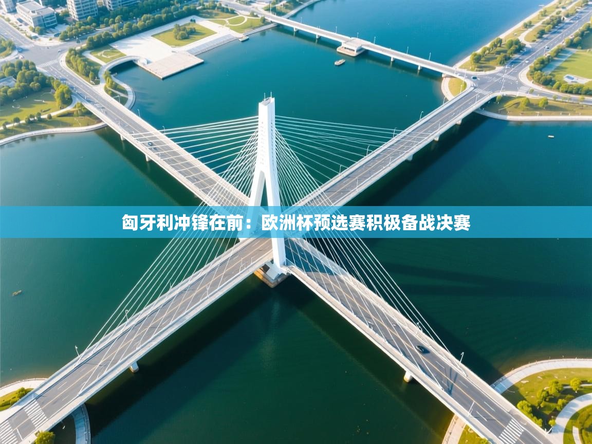 匈牙利冲锋在前：欧洲杯预选赛积极备战决赛  第2张