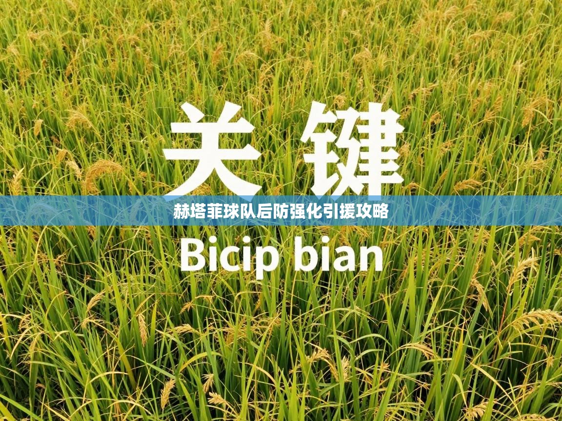 赫塔菲球队后防强化引援攻略  第1张