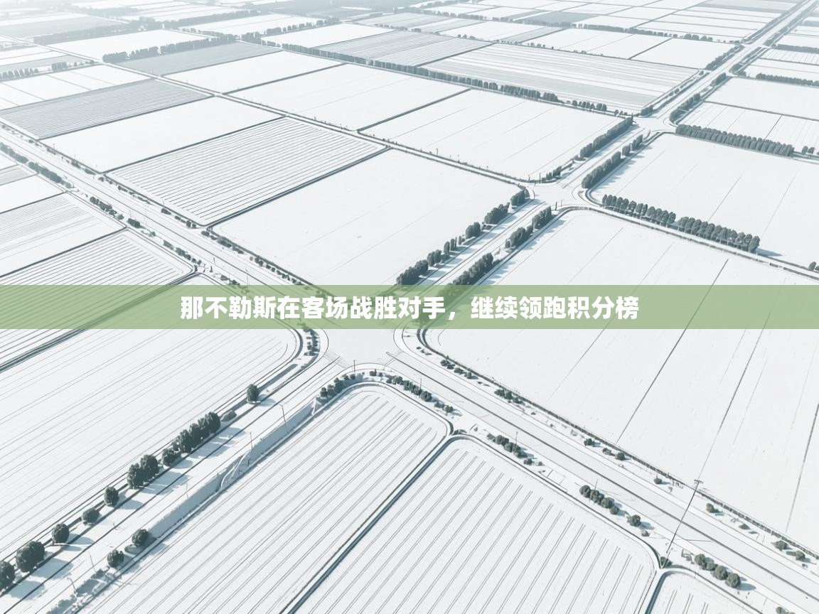 那不勒斯在客场战胜对手，继续领跑积分榜  第1张