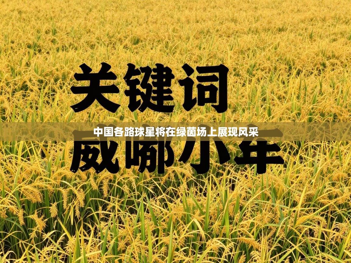 中国各路球星将在绿茵场上展现风采  第1张