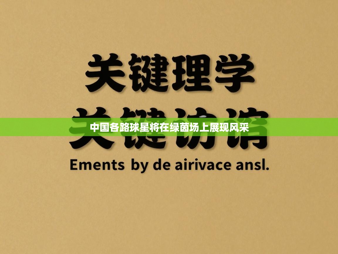 中国各路球星将在绿茵场上展现风采  第2张