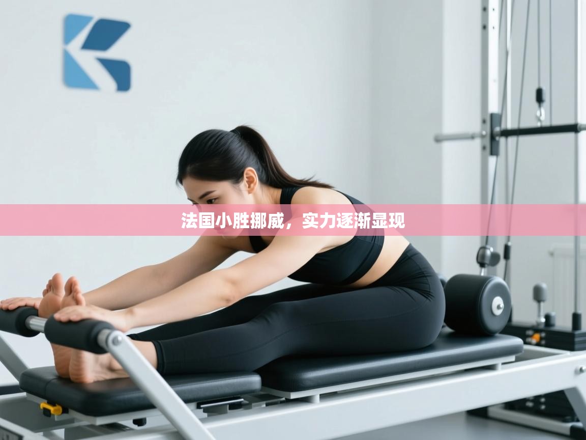 法国小胜挪威，实力逐渐显现  第1张