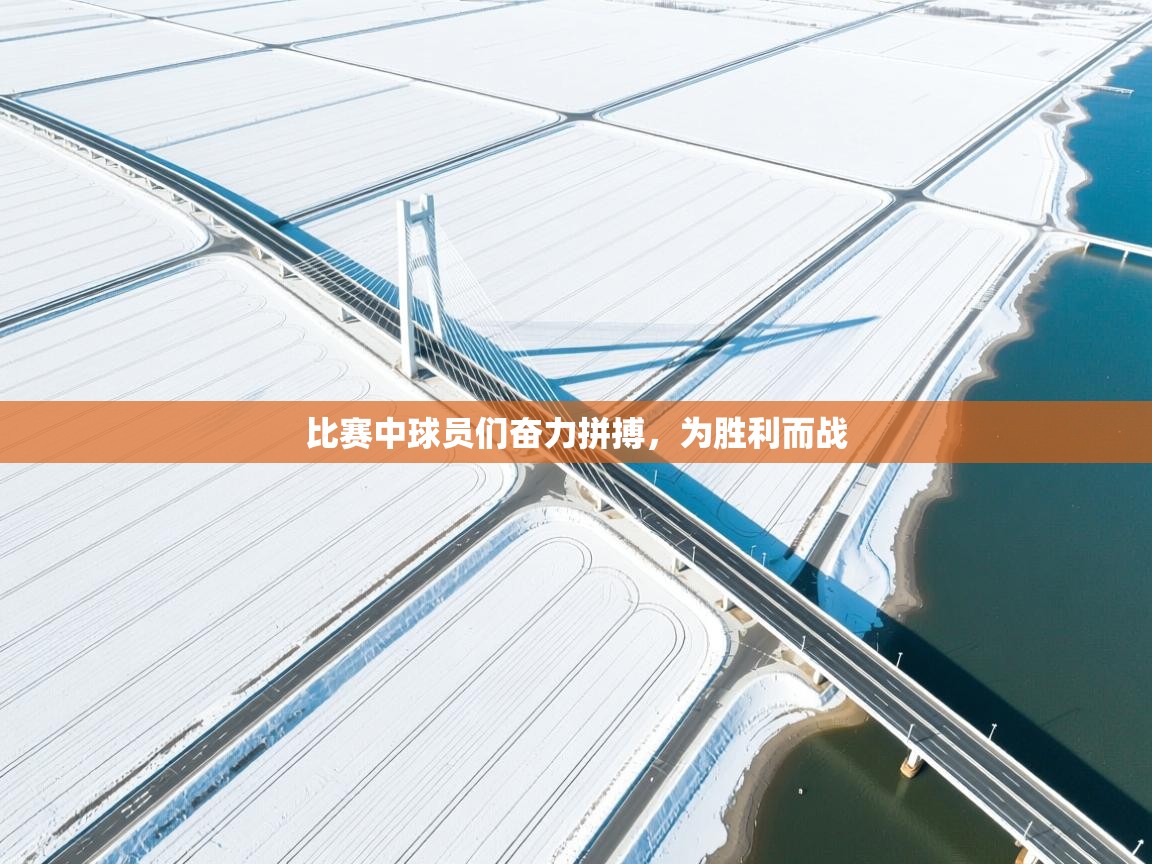 比赛中球员们奋力拼搏，为胜利而战  第1张