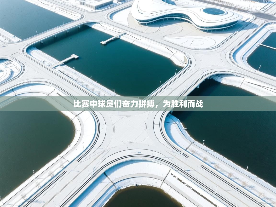 比赛中球员们奋力拼搏，为胜利而战  第2张