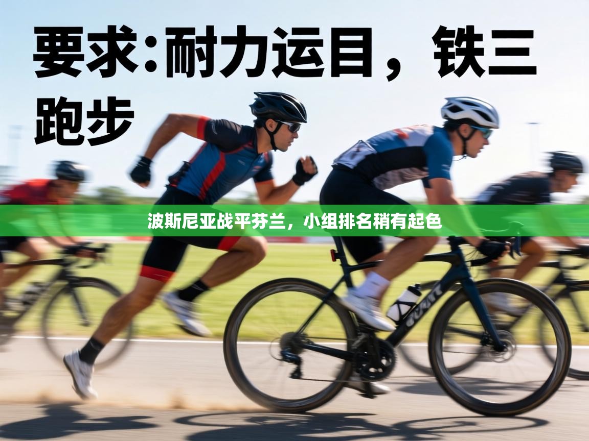 波斯尼亚战平芬兰，小组排名稍有起色  第1张