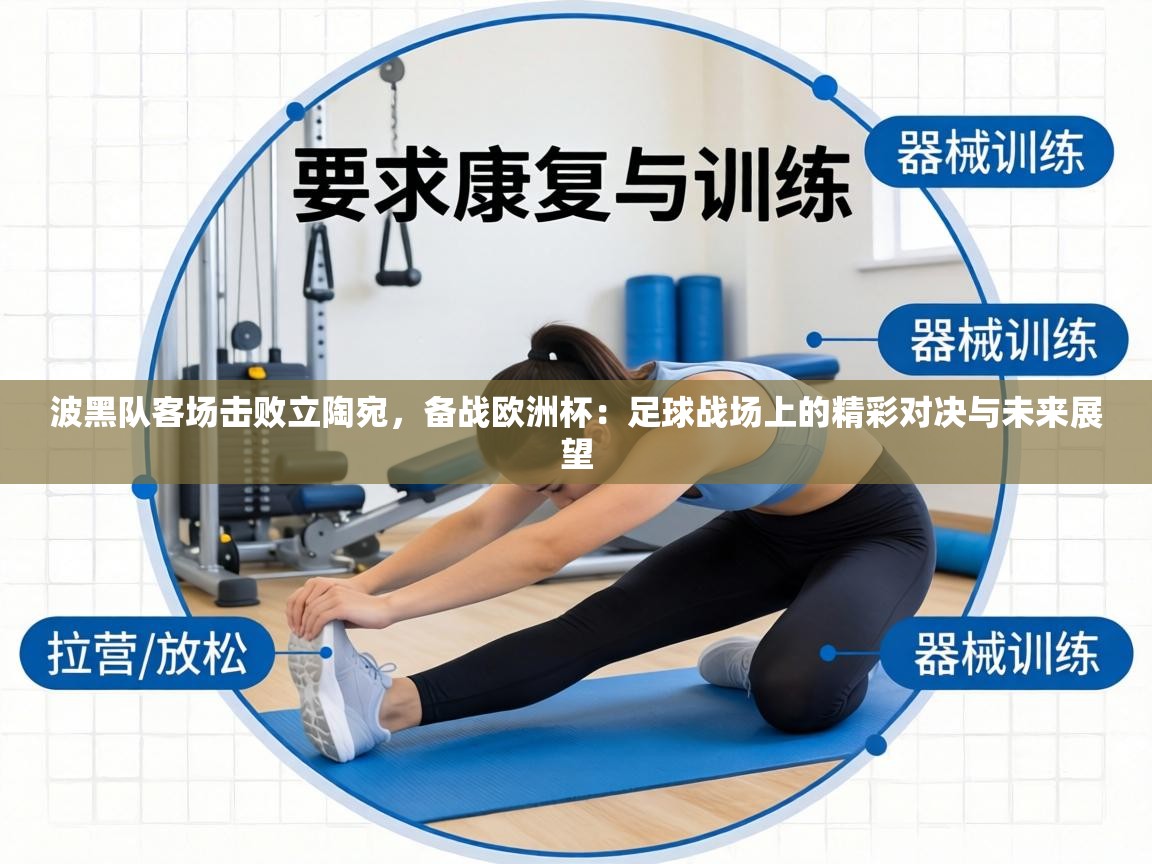 波黑队客场击败立陶宛,备战欧洲杯:足球战场上的精彩对决与未来展望 第1张